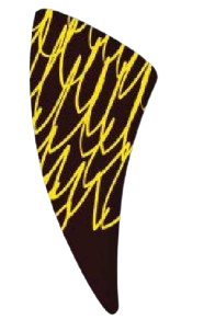 Décor Chocolat Blanc FLD014