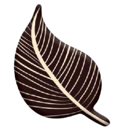 Korinitta - Dekor Çikolata Yaprak YS0014
