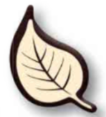 Korinitta - Dekor Çikolata Yaprak YS010