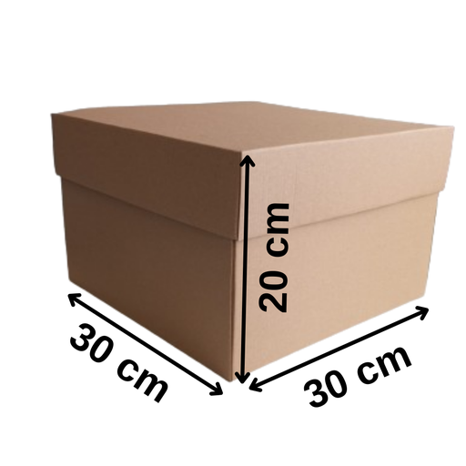 [Y101059] 30 x 30 x 20 cm Pasta Kutusu (Oluklu Kutu)