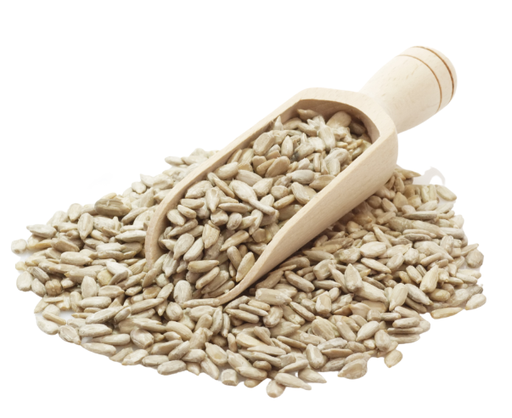 [Y101463] A.N. - Ay çekirdeği - 22,68 kg