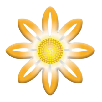 [Y101657] Décor Chocolat Fleur PPT001